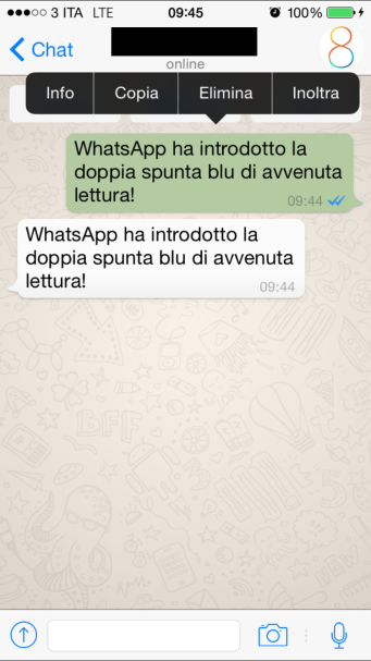 WhatsApp info 3