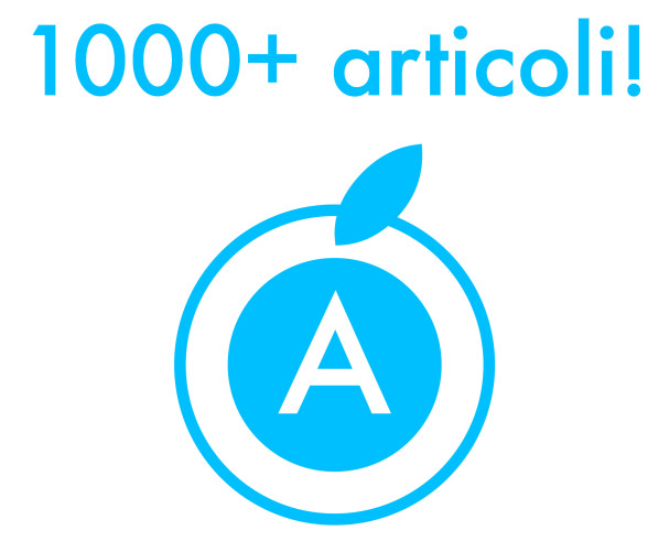 1000 articoli